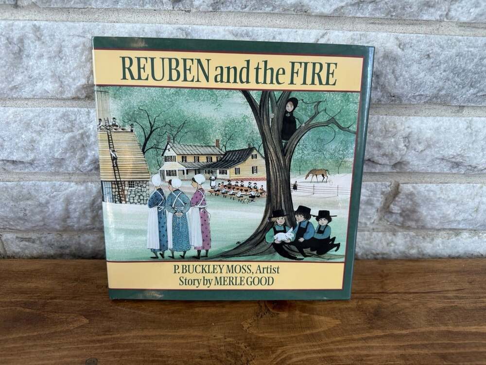 Reuben and the Fire (1993, Hardcover) English Excellent